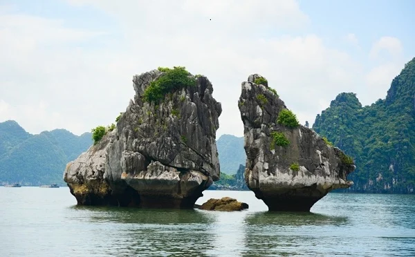 Tour Hạ Long 2 ngày 1 đêm